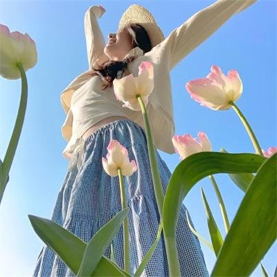 幕后枭雄第一季